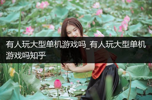 有人玩大型单机游戏吗_有人玩大型单机游戏吗知乎