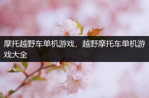 摩托越野车单机游戏，越野摩托车单机游戏大全