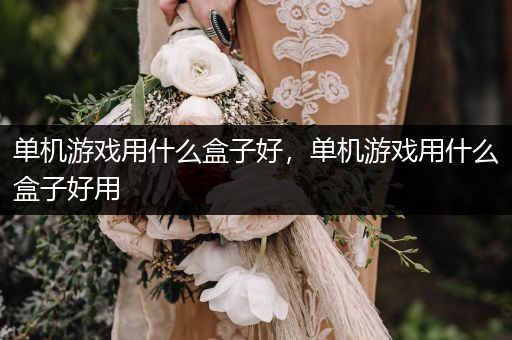 单机游戏用什么盒子好，单机游戏用什么盒子好用