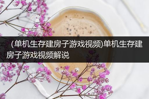 （单机生存建房子游戏视频)单机生存建房子游戏视频解说