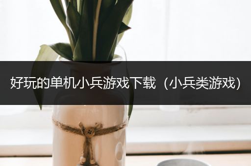 好玩的单机小兵游戏下载（小兵类游戏）