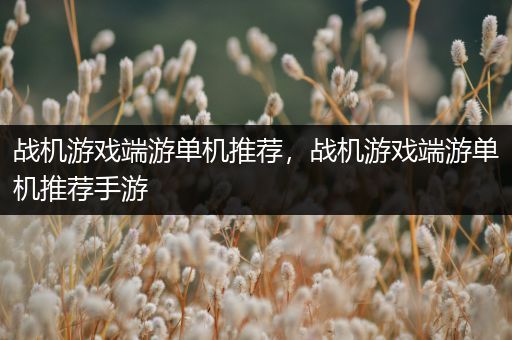战机游戏端游单机推荐，战机游戏端游单机推荐手游