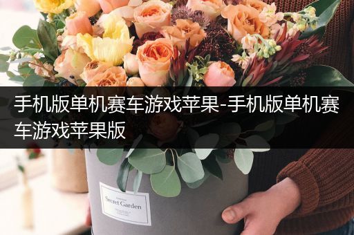 手机版单机赛车游戏苹果-手机版单机赛车游戏苹果版