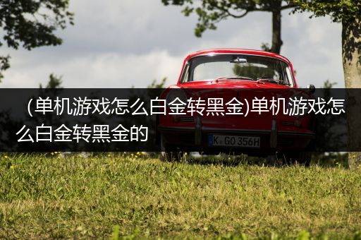（单机游戏怎么白金转黑金)单机游戏怎么白金转黑金的