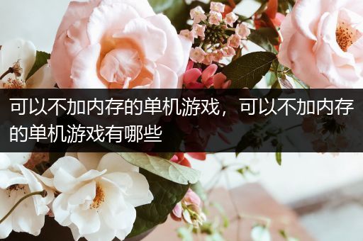 可以不加内存的单机游戏，可以不加内存的单机游戏有哪些