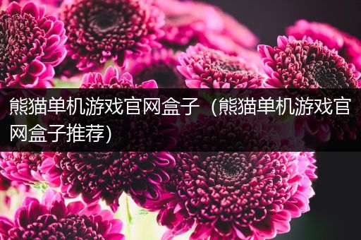熊猫单机游戏官网盒子（熊猫单机游戏官网盒子推荐）