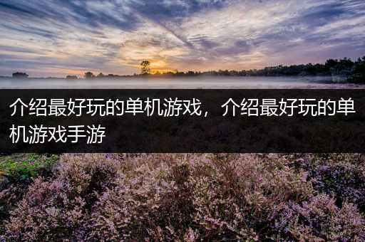 介绍最好玩的单机游戏，介绍最好玩的单机游戏手游