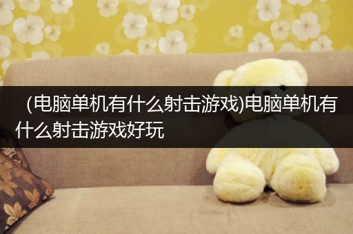 （电脑单机有什么射击游戏)电脑单机有什么射击游戏好玩