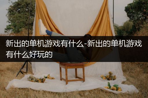 新出的单机游戏有什么-新出的单机游戏有什么好玩的