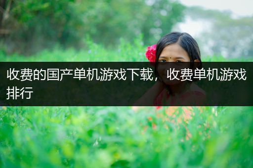 收费的国产单机游戏下载，收费单机游戏排行