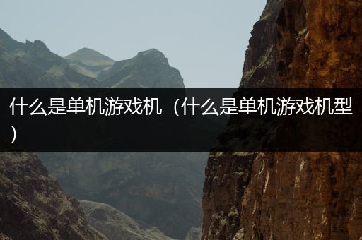 什么是单机游戏机（什么是单机游戏机型）