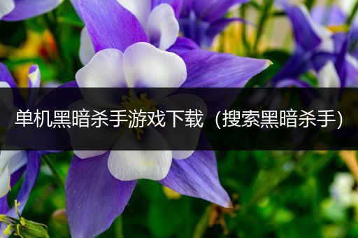 单机黑暗杀手游戏下载（搜索黑暗杀手）