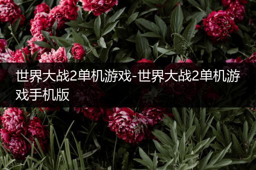 世界大战2单机游戏-世界大战2单机游戏手机版