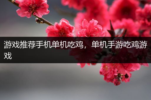 游戏推荐手机单机吃鸡，单机手游吃鸡游戏