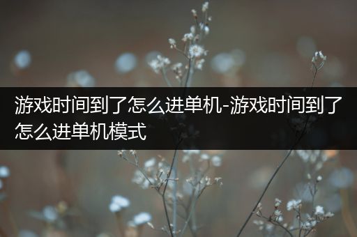 游戏时间到了怎么进单机-游戏时间到了怎么进单机模式