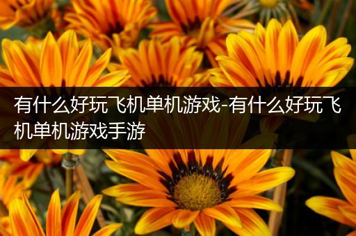 有什么好玩飞机单机游戏-有什么好玩飞机单机游戏手游