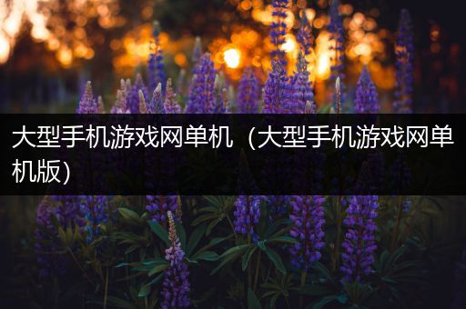 大型手机游戏网单机（大型手机游戏网单机版）