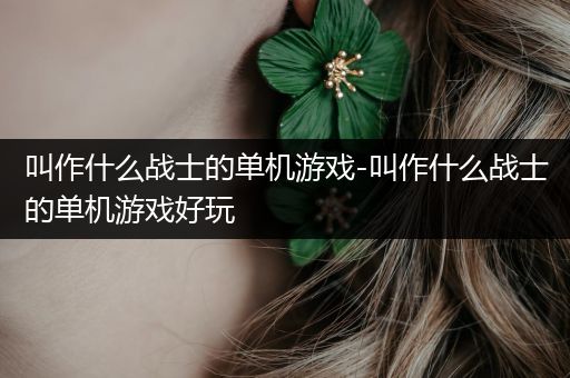 叫作什么战士的单机游戏-叫作什么战士的单机游戏好玩