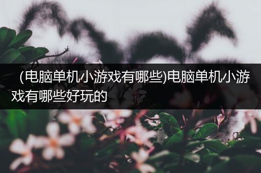 （电脑单机小游戏有哪些)电脑单机小游戏有哪些好玩的