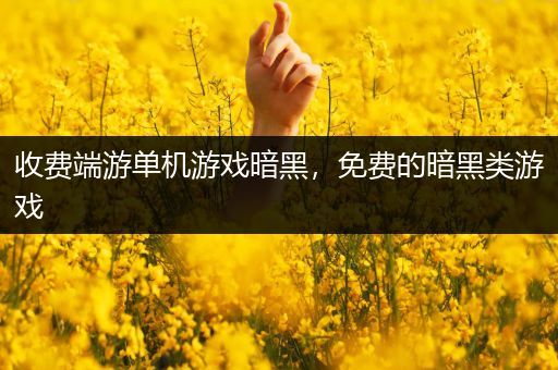 收费端游单机游戏暗黑，免费的暗黑类游戏