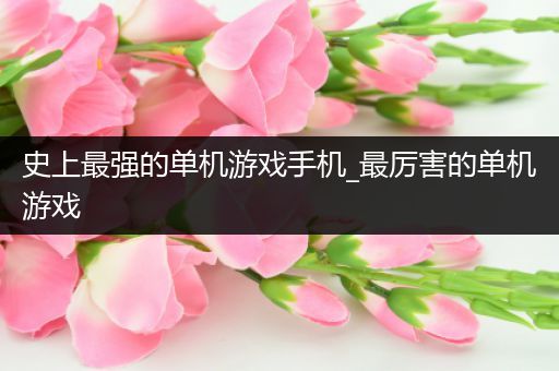 史上最强的单机游戏手机_最厉害的单机游戏