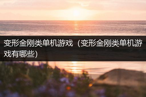 变形金刚类单机游戏（变形金刚类单机游戏有哪些）
