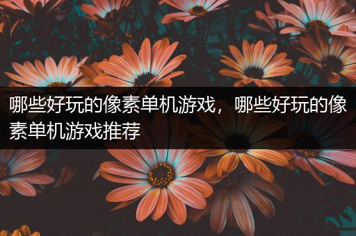 哪些好玩的像素单机游戏，哪些好玩的像素单机游戏推荐