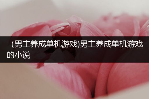 （男主养成单机游戏)男主养成单机游戏的小说