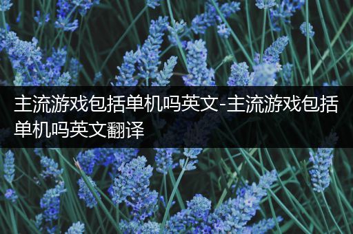 主流游戏包括单机吗英文-主流游戏包括单机吗英文翻译