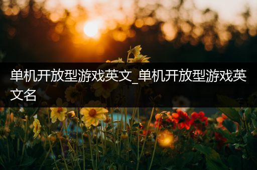 单机开放型游戏英文_单机开放型游戏英文名