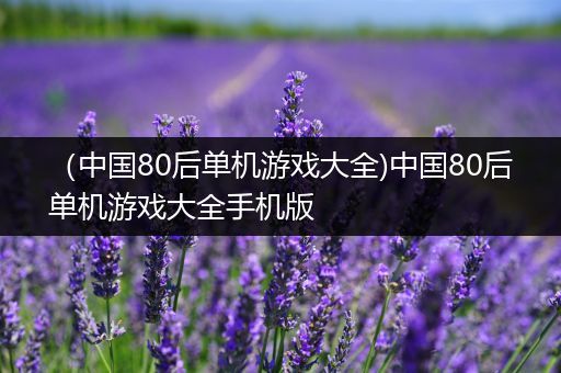 （中国80后单机游戏大全)中国80后单机游戏大全手机版