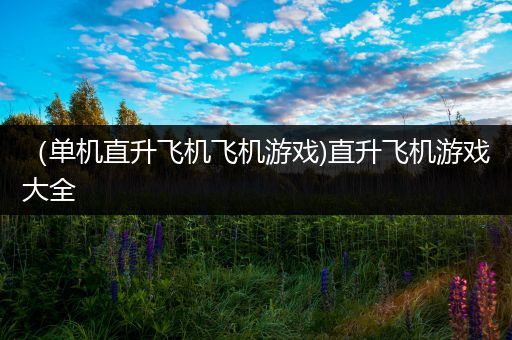 （单机直升飞机飞机游戏)直升飞机游戏大全