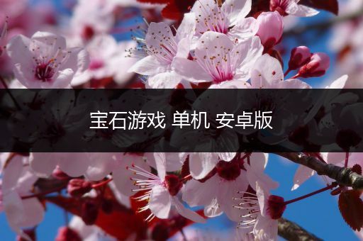 宝石游戏 单机 安卓版