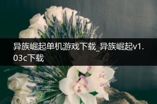 异族崛起单机游戏下载_异族崛起v1.03c下载