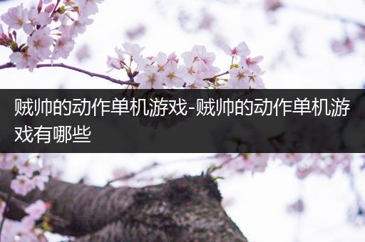 贼帅的动作单机游戏-贼帅的动作单机游戏有哪些