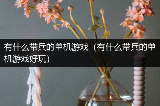 有什么带兵的单机游戏（有什么带兵的单机游戏好玩）
