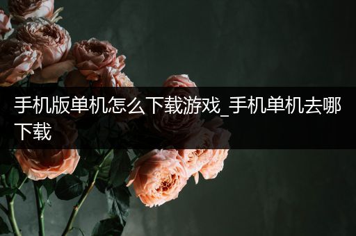 手机版单机怎么下载游戏_手机单机去哪下载