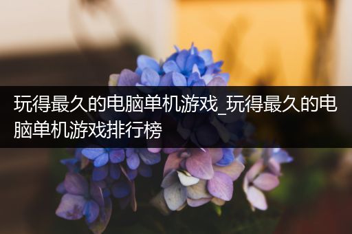 玩得最久的电脑单机游戏_玩得最久的电脑单机游戏排行榜