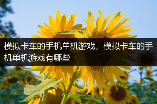 模拟卡车的手机单机游戏，模拟卡车的手机单机游戏有哪些