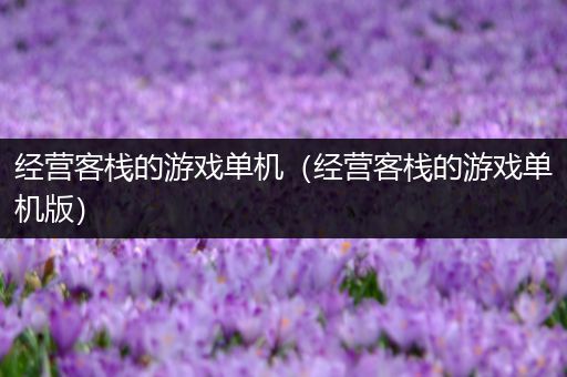 经营客栈的游戏单机（经营客栈的游戏单机版）