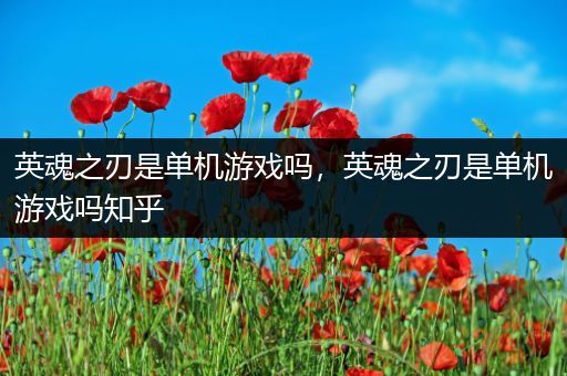 英魂之刃是单机游戏吗，英魂之刃是单机游戏吗知乎