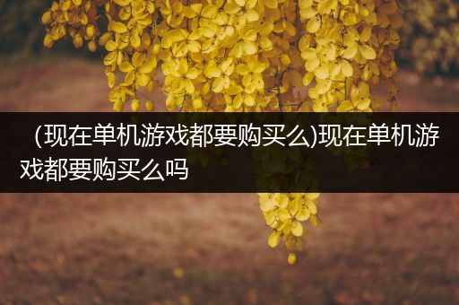 （现在单机游戏都要购买么)现在单机游戏都要购买么吗