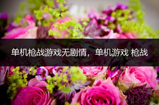 单机枪战游戏无剧情，单机游戏 枪战