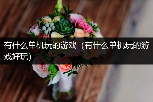 有什么单机玩的游戏（有什么单机玩的游戏好玩）
