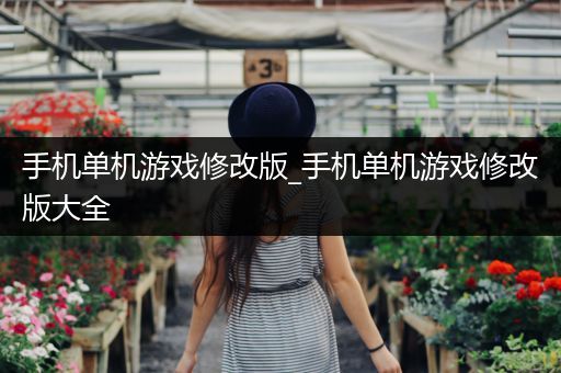 手机单机游戏修改版_手机单机游戏修改版大全