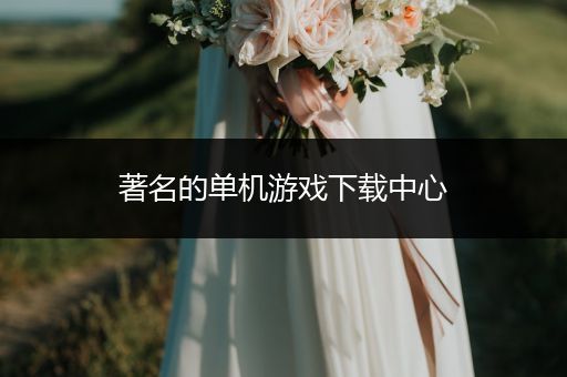 著名的单机游戏下载中心