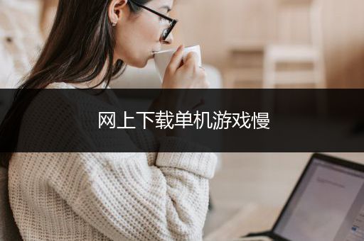网上下载单机游戏慢