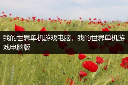 我的世界单机游戏电脑，我的世界单机游戏电脑版