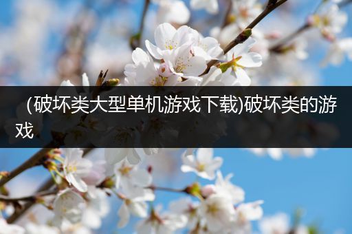 （破坏类大型单机游戏下载)破坏类的游戏