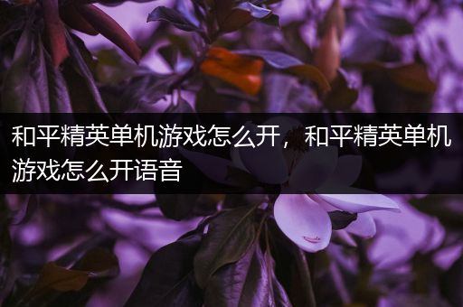 和平精英单机游戏怎么开，和平精英单机游戏怎么开语音